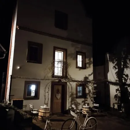 Vinny Tunel - Vinny Rodinny Guest house Pouzdrany