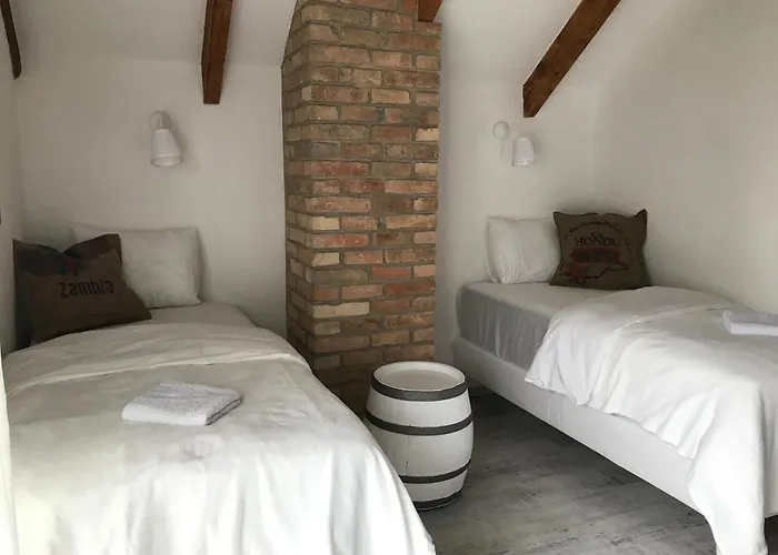 Vinny Tunel - Vinny Rodinny Guest house 3*