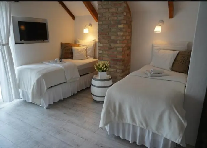 Vinny Tunel - Vinny Rodinny Guest house Pouzdrany