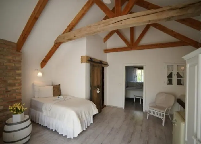 Vinny Tunel - Vinny Rodinny Guest house Pouzdrany