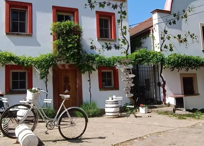 Guest house Vinny Tunel - Vinny Rodinny 3*